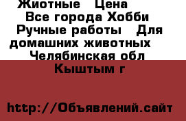 Жиотные › Цена ­ 50 - Все города Хобби. Ручные работы » Для домашних животных   . Челябинская обл.,Кыштым г.